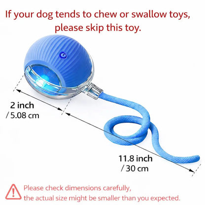 Interactive Rolling Ball Teaser Toy for Cats & Dogs – Includes 2 Interchangeable Tails, Engaging Chase & Play Toy for Kittens and Adult Pets