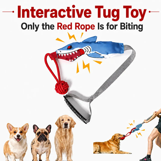 Kawiwi Interactive Tug Toy for Dogs - Durable Squeaky Rope for Engaging Play and Bonding, Ideal for Small to Medium Breeds, Not a Chew Toy, Supervised Use Recommended