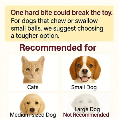 Interactive Rolling Ball Teaser Toy for Cats & Dogs – Includes 2 Interchangeable Tails, Engaging Chase & Play Toy for Kittens and Adult Pets