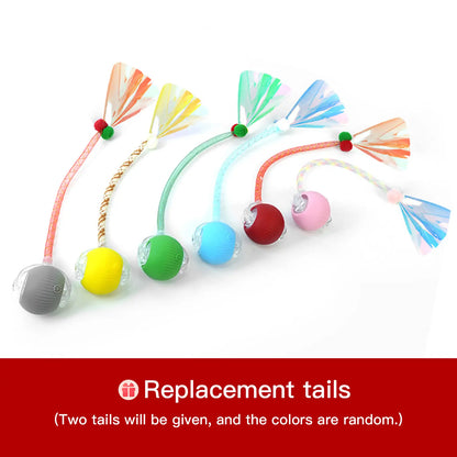 Interactive Rolling Ball Teaser Toy for Cats & Dogs – Includes 2 Interchangeable Tails, Engaging Chase & Play Toy for Kittens and Adult Pets