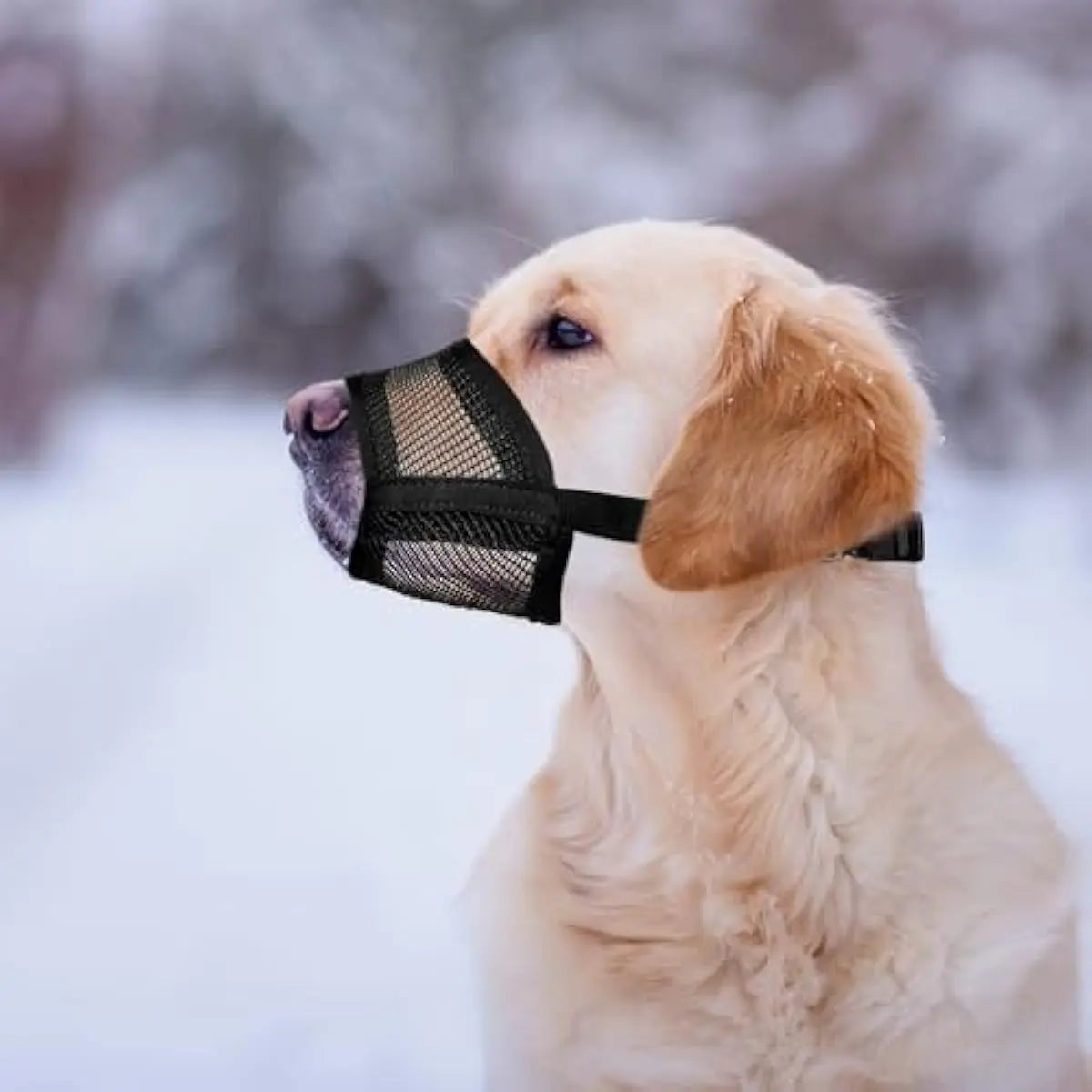 Breathable Adjustable Dog Muzzle – Lightweight Air-Mesh Design for Comfortable Walking, Helps Reduce Scavenging, Licking & Chewing for Dogs of Various Sizes
