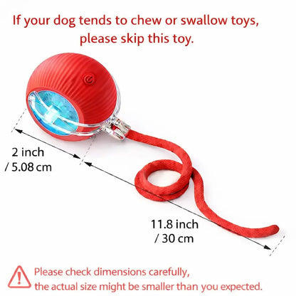 Interactive Rolling Ball Teaser Toy for Cats & Dogs – Includes 2 Interchangeable Tails, Engaging Chase & Play Toy for Kittens and Adult Pets