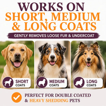 Sleekez Professional Dog Brush for Shedding and Grooming, Deshedding Tool for All Coat Lengths, 5-Inch Comb, 4 oz Weight