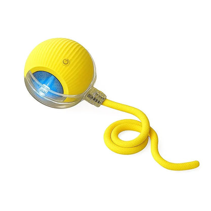 Interactive Rolling Ball Teaser Toy for Cats & Dogs – Includes 2 Interchangeable Tails, Engaging Chase & Play Toy for Kittens and Adult Pets